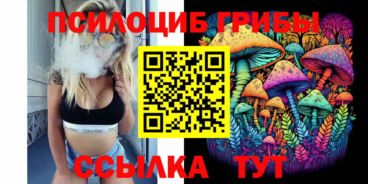 Псилоцибиновые грибы Psilocybe  Вход с VPN  Азнакаево 